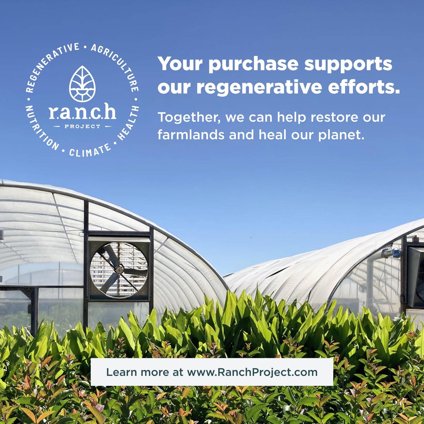 Organs Blend Once Daily Tablets - 30 Servings